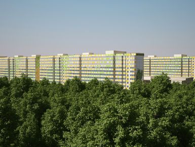 Всего в проекте ЖК «Морошкино» 5 жилых домов и 4 отдельно стоящих паркинга.