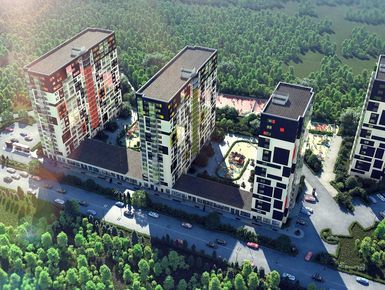 Вид сверху.