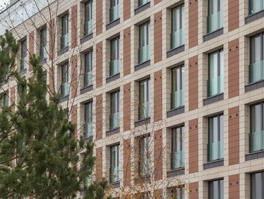 Французские окна. Фотосъемка от 22.11.2022 г.